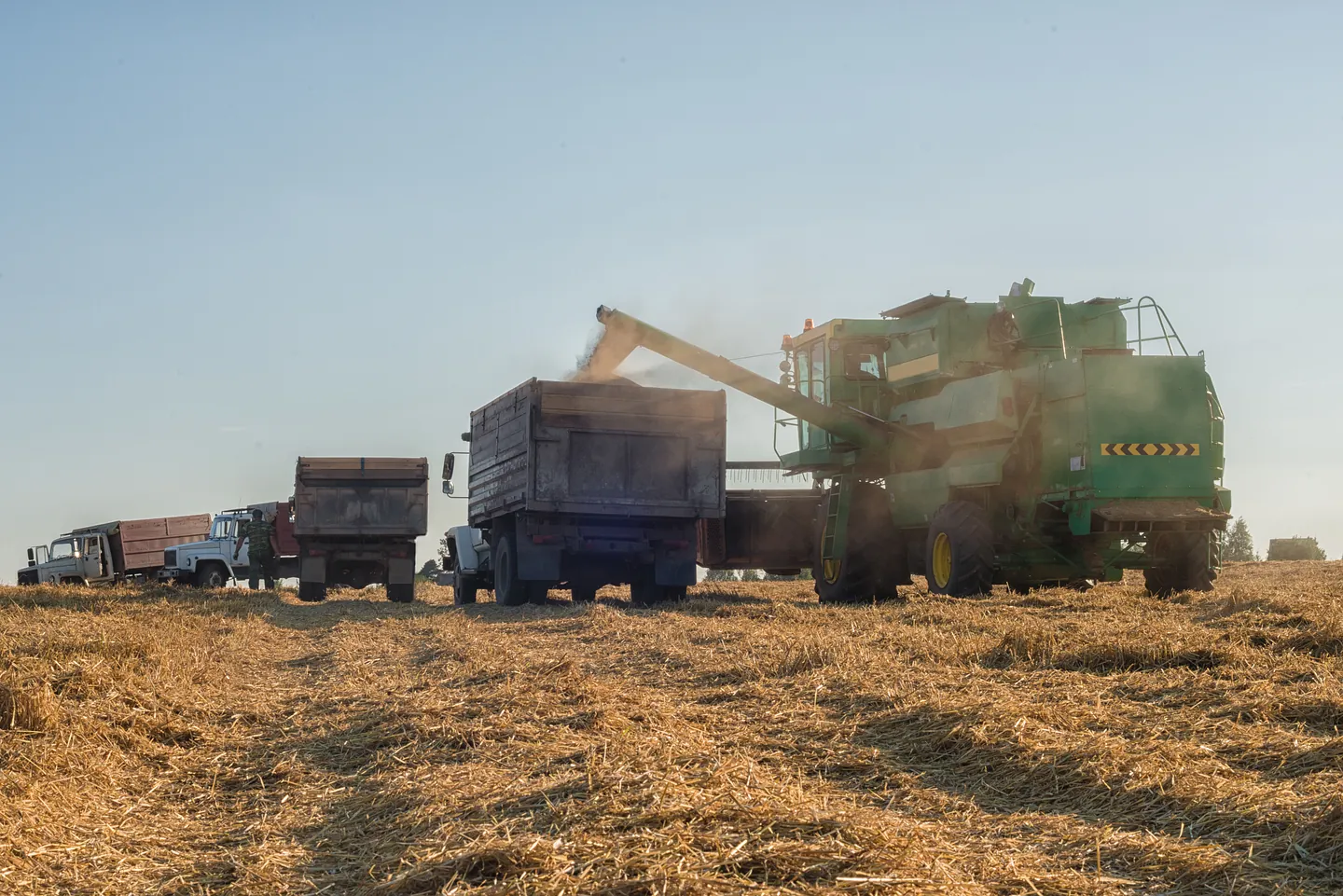 Agrollanera Servicio agrícola 