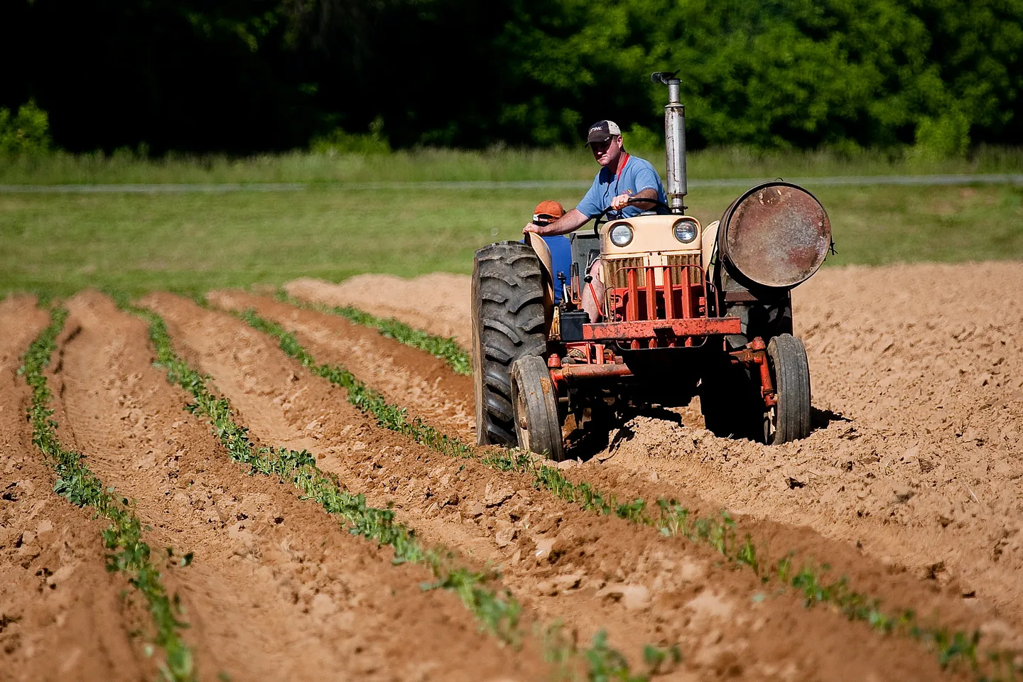 Agrollanera Servicio agrícola 