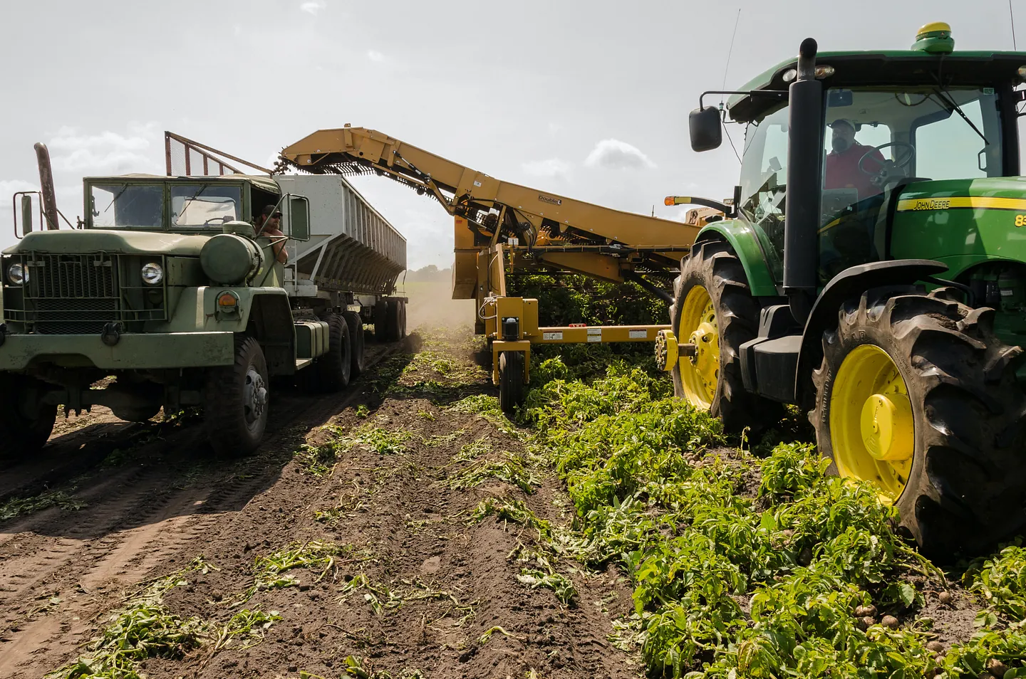 Agrollanera Servicio agrícola 